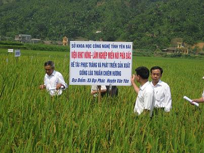Vĩnh Phúc Đã giải ngân trên 90 kinh phí cho các đề tài khoa học và công nghệ